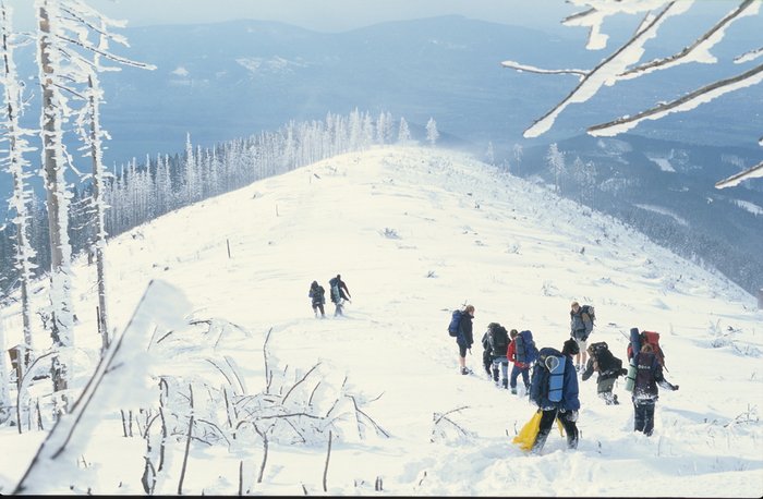 002 2001 Robinsonada Persea